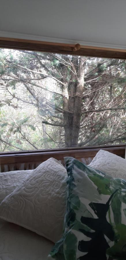 Eco Cabana Пуэрто-Варас Экстерьер фото